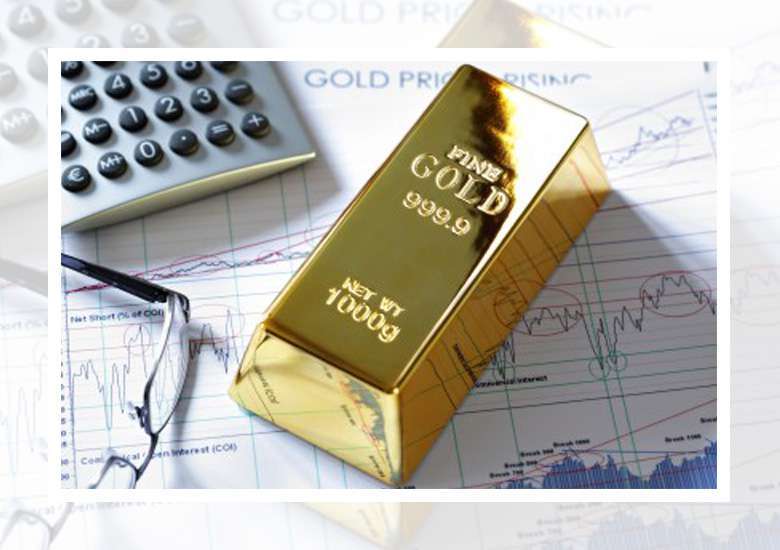 Welcome to Gold Hedge&nbsp;Law